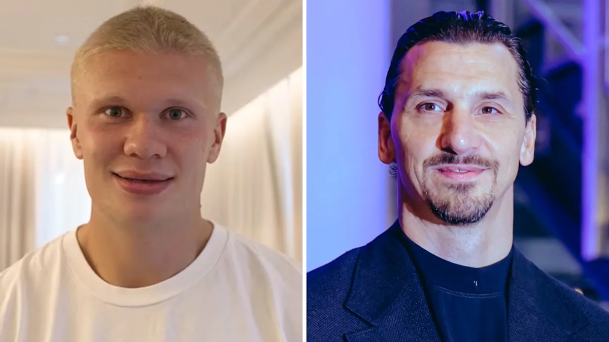haland ibra